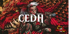 May 17th CEDH